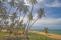 The view of Pantai Jambu Bongkok Beach with soaring coconut trees at Terengganu, Malaysia. Royalty Free Stock Photo