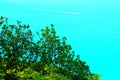 View from Parco della Repubblica in Sirolo at vegetation, Adriatic Sea, boat and trail