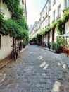 View of Paris and the haussmanian building, captial of France, most famous city in the world Royalty Free Stock Photo