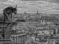 View of Paris from `Notre-Dame` with Gargoyle