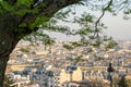 View of Paris rooftops with tree framing Notre Dame Church in distance Royalty Free Stock Photo