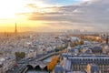 View of Paris skyline with colorful sunset light seen from the top of Notre Dame cathedral Royalty Free Stock Photo