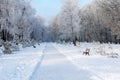 View of the park alley, surrounded by snow-covered trees on a winter day Royalty Free Stock Photo