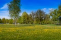 View of the park along the lake of Madine Royalty Free Stock Photo