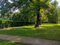 View of the park area with landscape design in the museum-estate Kuskovo. Tall oaks grow along the alley on a green lawn. Moscow,