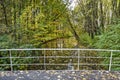 View from a park bridge in autumn Royalty Free Stock Photo