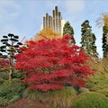 View in the park of the city of Hamburg in autumn