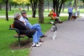 View on a park with elderly people sitting on a bench and walking dogs.