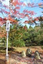 The view in a park in Japan