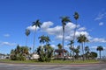 The View of the park near Sandiego Bay with coconut trees in winter, California, USA