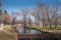 View of a park with a pond and trees in a sunny day