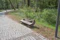 The view of park. romantic bench in peaceful park in spring Royalty Free Stock Photo