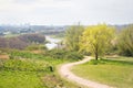 View of a park and skyline of Rotterdam, Netherlands in spring