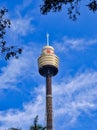 Westfield Sydney Tower, Australia Royalty Free Stock Photo