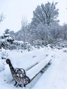 View of a park in winter