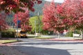 View of a parking lot at the entrance of local school in Sayward, Canada with school bus in the background