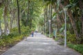 View on Parque de Malaga and Paseo de Espana, green and lush pedestrian walkway in Malaga