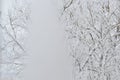 View through a partially frozen window pane of a snow-covered winter forest. Winter landscape through the window Royalty Free Stock Photo