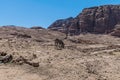 A view past a donkey towards the western cliffs in the ancient city of Petra, Jordan Royalty Free Stock Photo