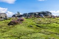 A view past purple heather towards a rock summit on Ilkley moor above the town of Ilkley Yorkshire, UK