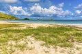 A view past sea grass from Orient beach in St Martin