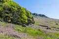 A view past trees towards the escarpment of Stanage Edge in the Peak District, UK Royalty Free Stock Photo