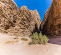 A view past vegetation into a gorge in the desert landscape in Wadi Rum, Jordan Royalty Free Stock Photo