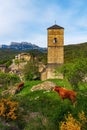 View of the pastoral village of Yeba in the Pyrenees mountains Royalty Free Stock Photo