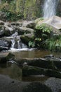 View along path leading next to stream flowing at Cascada Taxopamba Otavalo Ecuador