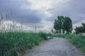 Path leading to houses and trees in Discovery Park of Seattle, USA Royalty Free Stock Photo