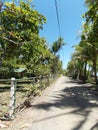 A path next to the Esterillos Beach, Parrita, Costa Rica