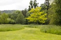 View of the path in the park