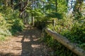 Path At Park