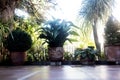 View of the patio with flower pots from a lower plane Royalty Free Stock Photo