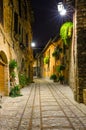 View of a paved alley of Spello in the night, Umbria, Italy Royalty Free Stock Photo