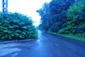 View of the paved road along the park.