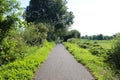 View on paved straight cycling track through rural idyllic landscape in summer - Germany, nrw, Viersen focus on foreground