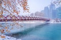Snowfall Over The Peace Bridge Royalty Free Stock Photo