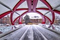 Snowy Walkway On The Peace Bridge