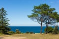 View of a Peaceful Blue Ocean from Across Grassed Land Royalty Free Stock Photo