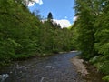 View of river with clear water in Wutach Gorge (\