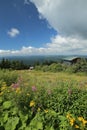 View from the peak of Klinovec in the Ore Mountains