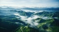 view peak plant fog landscape