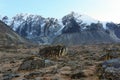 View of peaks from Dzongla, Nrpal