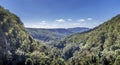 View from Pearling Brook lookout over the green forest trees Royalty Free Stock Photo