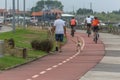 View at the Pedestrian Cyclo path on Torreira, three man on backs cycling on this path and a senior man walking with a dog,