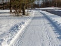 View of pedestrian sidewalk completely covered with white snow cleared with sidewalk snow plow next to cleared road in sunny