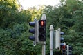 View on pedestrian traffic light with red stop signal in shape of man. Royalty Free Stock Photo