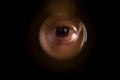 View from the peephole. The human eye looks through the peephole from the flight cage. Close-up Royalty Free Stock Photo