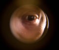 View from the peephole. The human eye looks through the peephole from the flight cage. Close-up